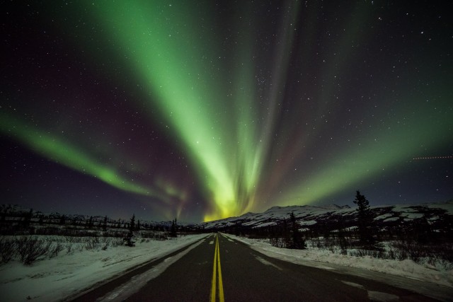 Alaskan road trip