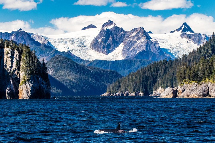 Kenai-Fjords-National-park