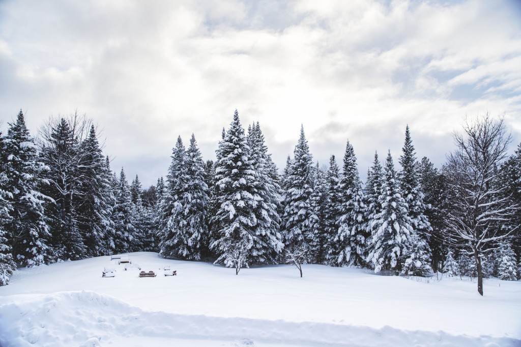 winter-weather-in-alaska