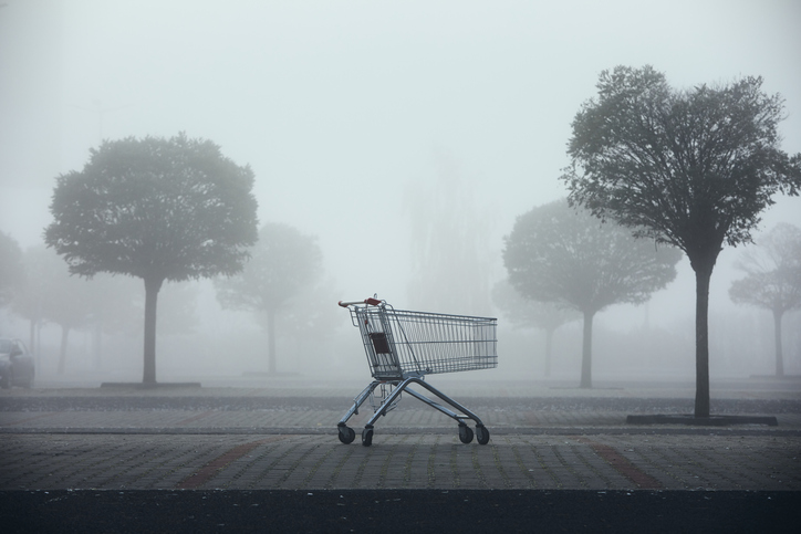 shopping-cart-alaska